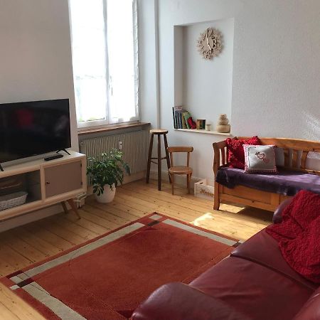 Le Clos Des Iris - Gite Rural 95 M2 Tout Confort En Alsace Bossue Domfessel Exterior photo